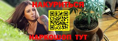 гашик Тверь