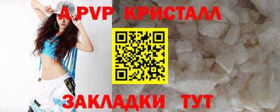 гашик Тверь