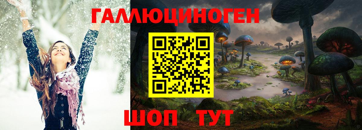 Электрогорск  Псилоцибиновые грибы Magic Shrooms  Вход с VPN 